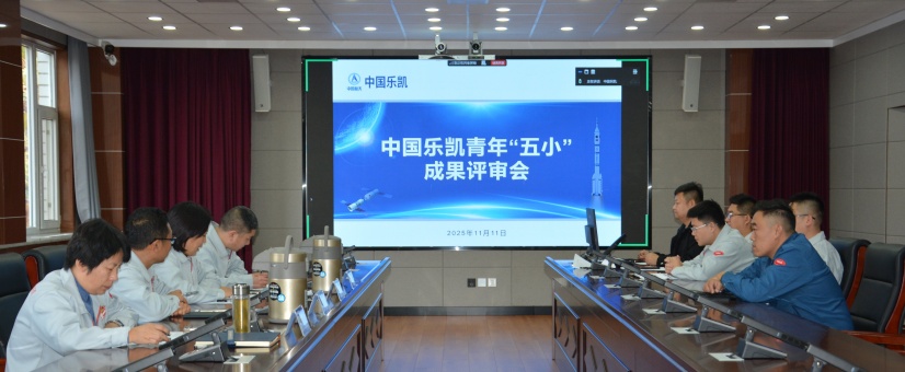 激揚青春智造力！中國樂凱團委召開青年&ldquo;五小&rdquo;成果評審會